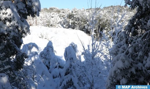 تساقطات ثلجية وأمطار قوية وهبات رياح قوية مرتقبة من اليوم السبت إلى الاثنين بعدد من مناطق المملكة (نشرة إنذارية)