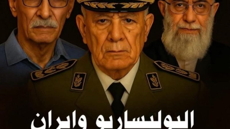 الكاتب والإعلامي الجزائري أنور مالك يفضح في كتابه الجديد: “البوليساريو وإيران: أسرار الإرهاب من طهران إلى تندوف”