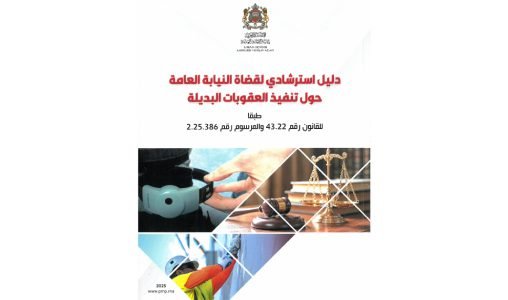 رسيما.. انطلاق العمل بتنفيذ العقوبات البديلة.. رئاسة النيابة العامة تصدر دليلا استرشاديا لقضاتها